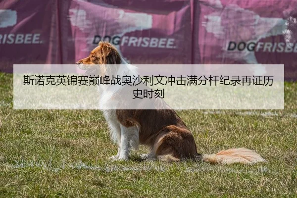斯诺克英锦赛巅峰战奥沙利文冲击满分杆纪录再证历史时刻